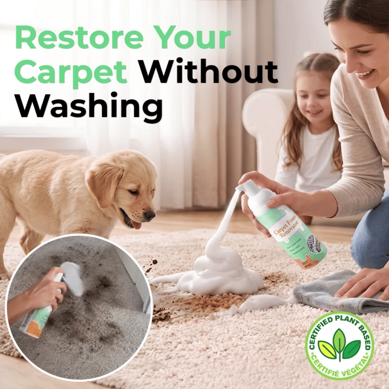 No-Rinse Carpet & Upholstery Stain Remover