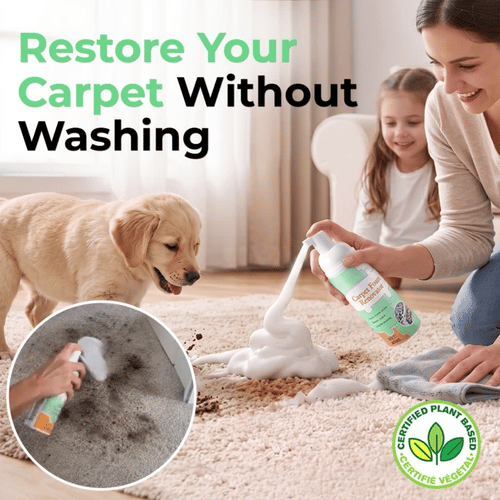 No-Rinse Carpet & Upholstery Stain Remover