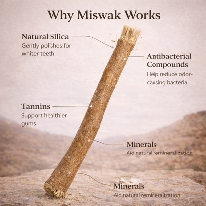 🌿 Miswak — Nature’s Original 7,000-Year-Old Toothbrush
