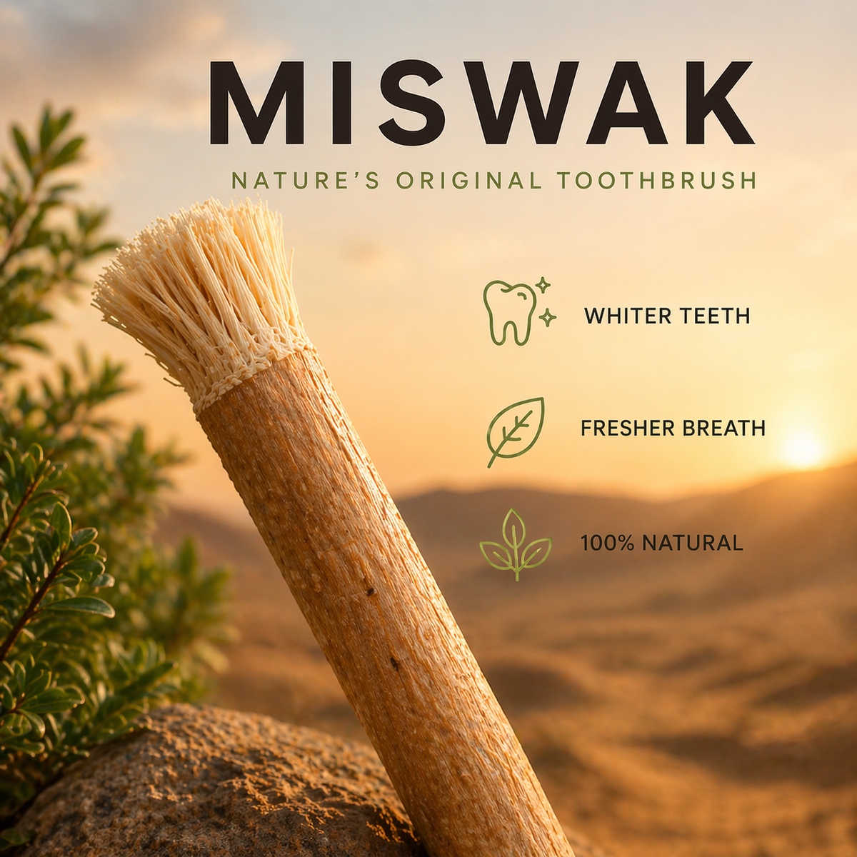 🌿 Miswak — Nature’s Original 7,000-Year-Old Toothbrush