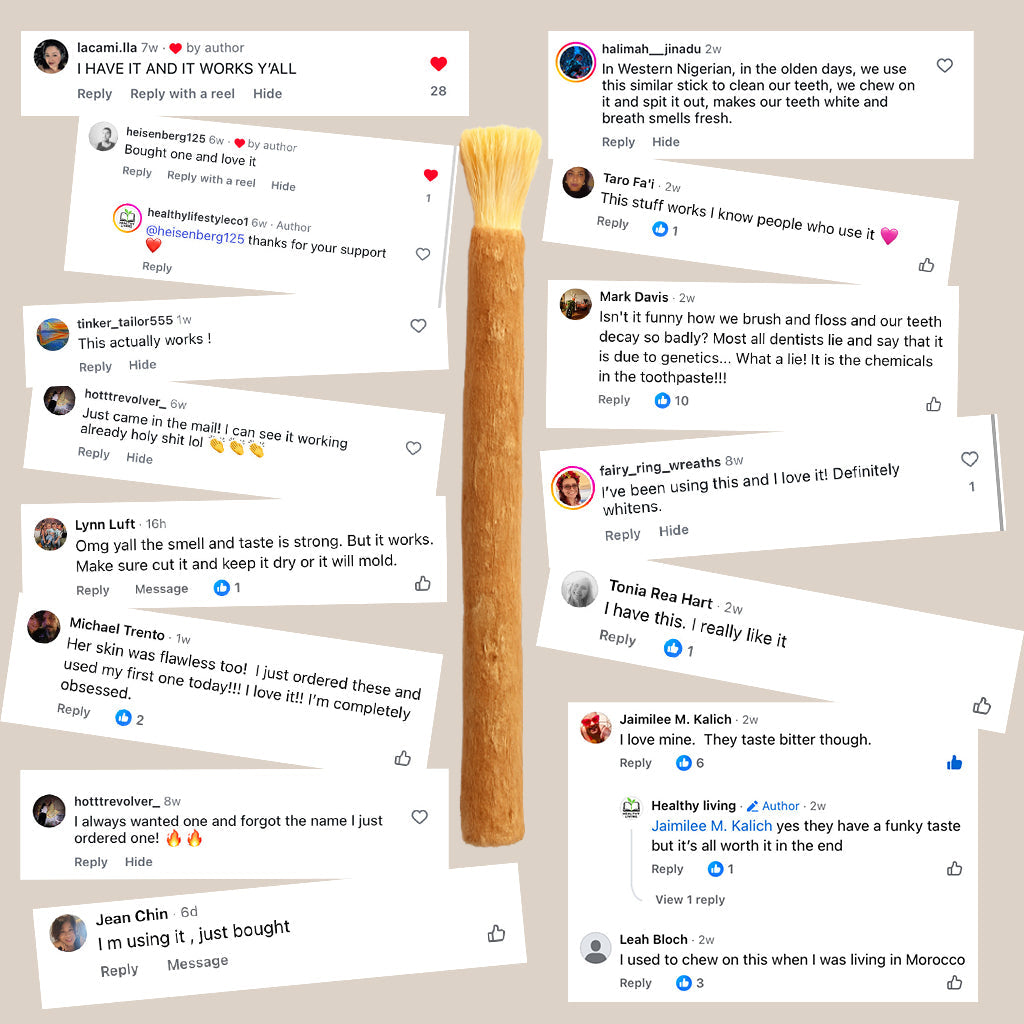 🌿 Miswak — Nature’s Original 7,000-Year-Old Toothbrush
