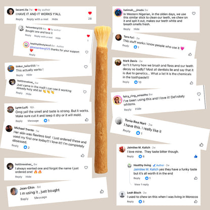 🌿 Miswak — Nature’s Original 7,000-Year-Old Toothbrush