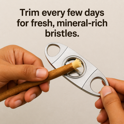 🌿 Miswak — Nature’s Original 7,000-Year-Old Toothbrush